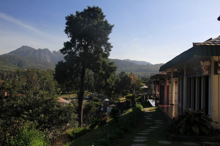 Sumatra 08