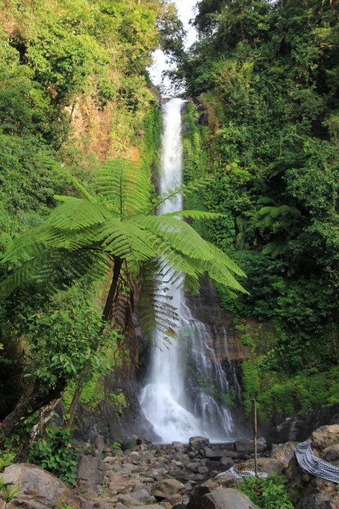 Bali 14
